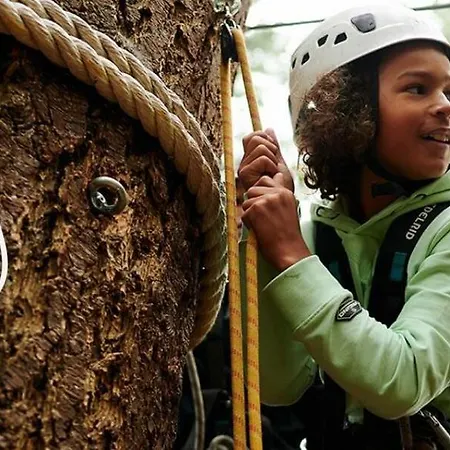 בקתה Sfeervol Boschalet 5 Persoons Met Sauna *
