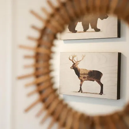 Sfeervol Boschalet 5 Persoons Met Sauna Chalet