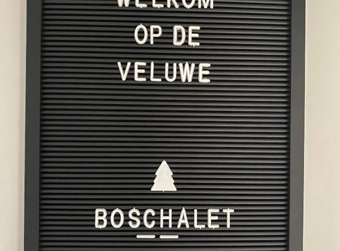 Sfeervol Boschalet 5 Persoons Met Sauna Chalet Voorthuizen