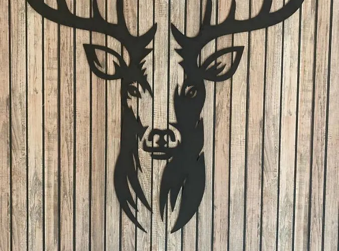 Sfeervol Boschalet 5 Persoons Met Sauna