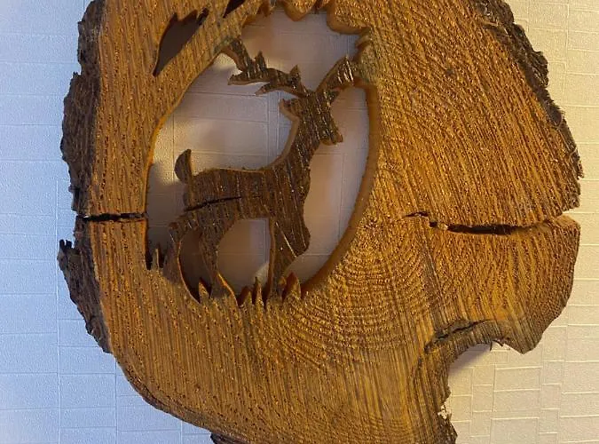 Sfeervol Boschalet 5 Persoons Met Sauna شاليه فورتهاوزن