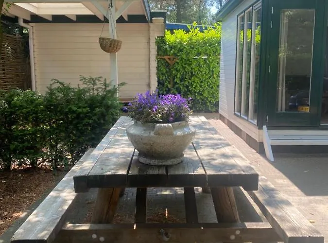 Sfeervol Boschalet 5 Persoons Met Sauna *