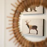 Sfeervol Boschalet 5 Persoons Met Sauna Chalet