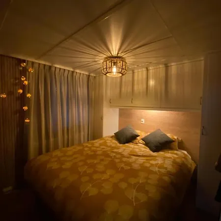 Sfeervol Boschalet 5 Persoons Met Sauna Chalet Voorthuizen