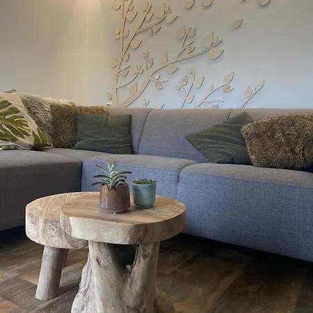 Chalet Sfeervol Boschalet 5 Persoons Met Sauna *
