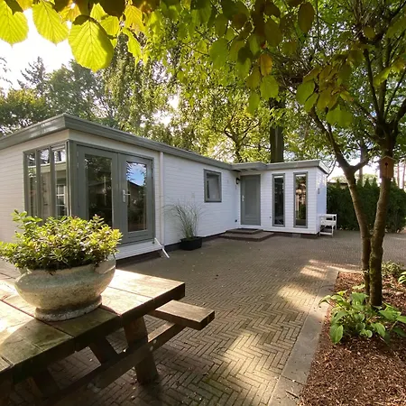 Sfeervol Boschalet 5 Persoons Met Sauna Chalet