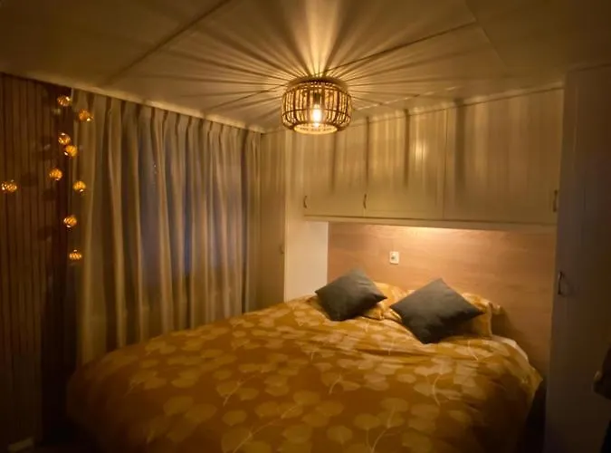 Sfeervol Boschalet 5 Persoons Met Sauna Chalet Voorthuizen