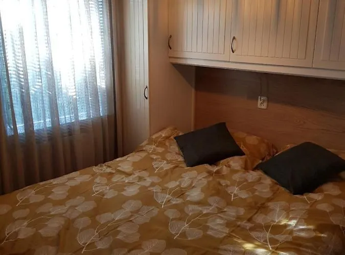 Domek alpejski Sfeervol Boschalet 5 Persoons Met Sauna *