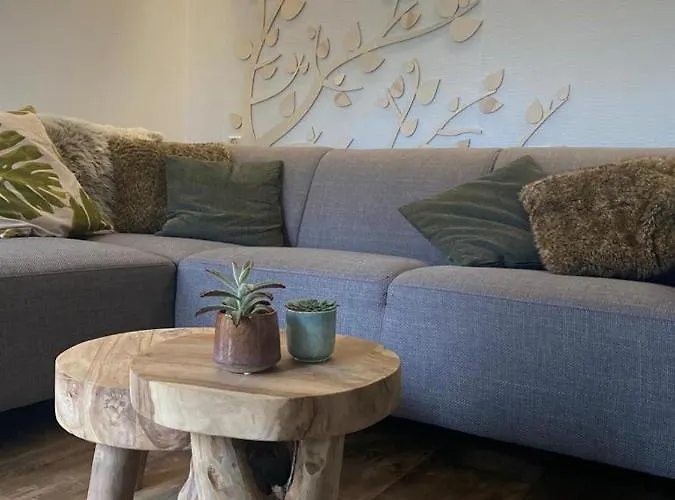 Domek alpejski Sfeervol Boschalet 5 Persoons Met Sauna *